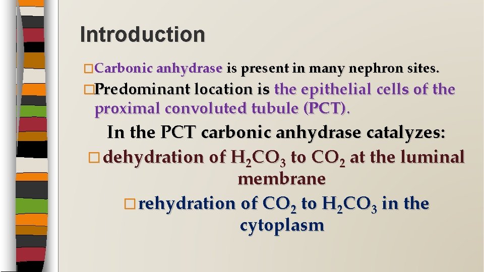 Introduction �Carbonic anhydrase is present in many nephron sites. �Predominant location is the epithelial