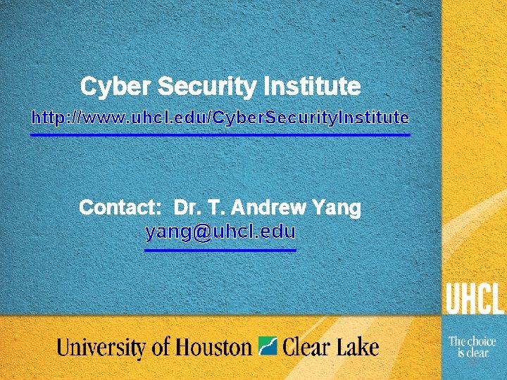 Cyber Security Institute http: //www. uhcl. edu/Cyber. Security. Institute Contact: Dr. T. Andrew Yang