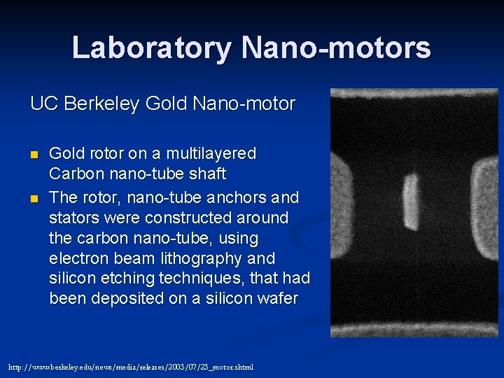 Laboratory Nano-motors UC Berkeley Gold Nano-motor n n Gold rotor on a multilayered Carbon