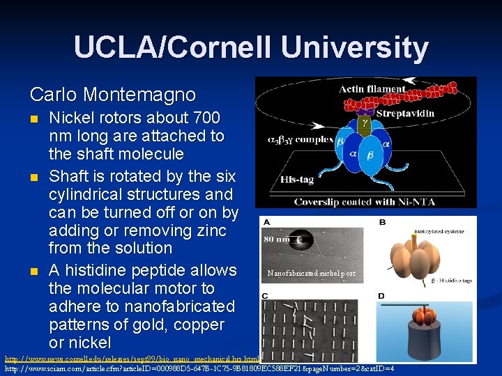 UCLA/Cornell University Carlo Montemagno n n n Nickel rotors about 700 nm long are