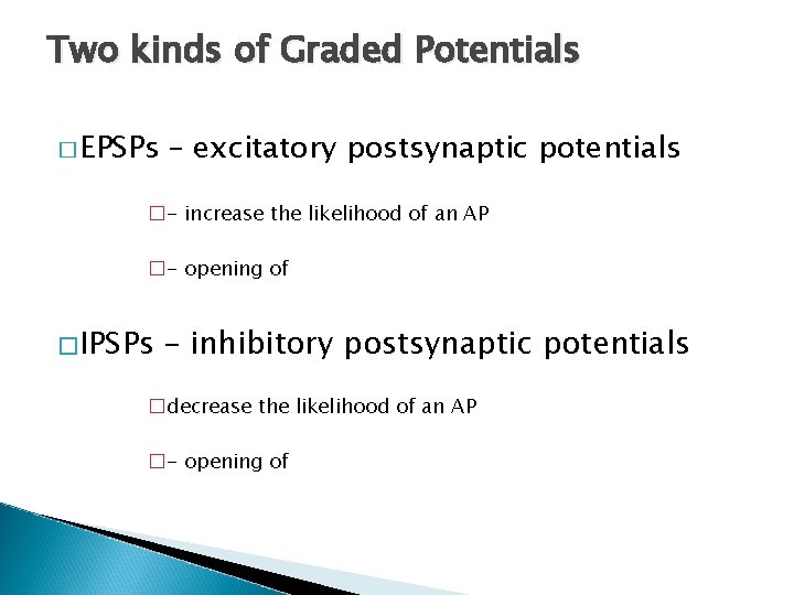 Two kinds of Graded Potentials � EPSPs – excitatory postsynaptic potentials �- increase the