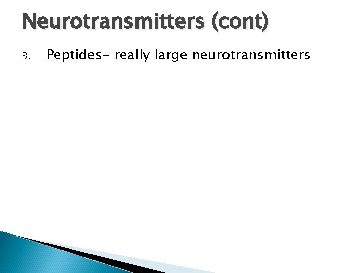 Neurotransmitters (cont) 3. Peptides- really large neurotransmitters 
