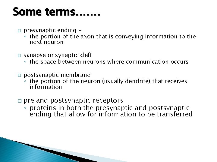 Some terms……. � � presynaptic ending – ◦ the portion of the axon that