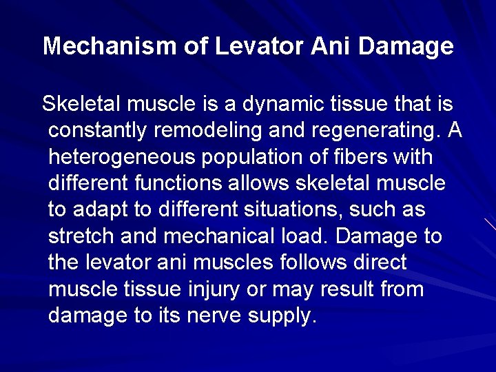 Mechanism of Levator Ani Damage Skeletal muscle is a dynamic tissue that is constantly