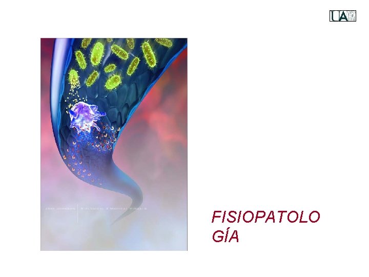 FISIOPATOLO GÍA 