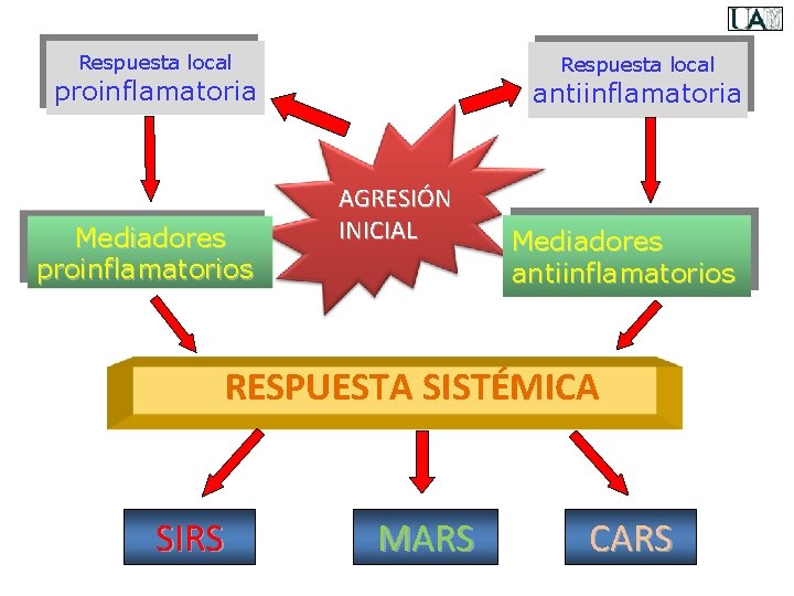 Respuesta local proinflamatoria Mediadores proinflamatorios antiinflamatoria AGRESIÓN INICIAL Mediadores antiinflamatorios RESPUESTA SISTÉMICA SIRS MARS