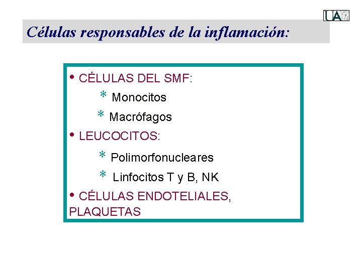 Células responsables de la inflamación: • CÉLULAS DEL SMF: * Monocitos * Macrófagos •