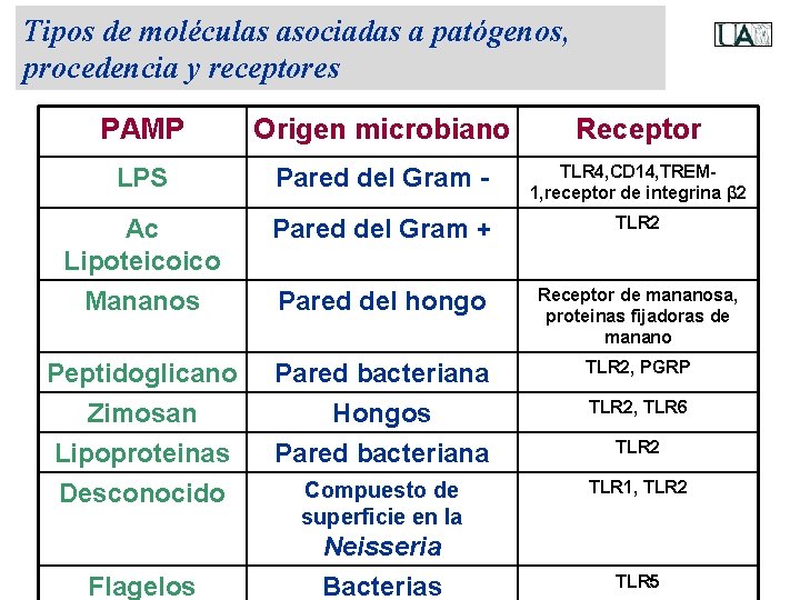 Tipos de moléculas asociadas a patógenos, procedencia y receptores PAMP Origen microbiano Receptor LPS