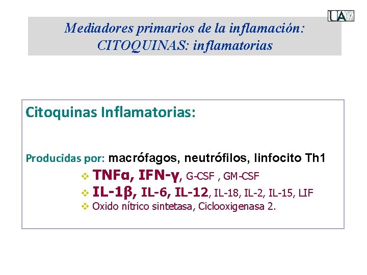Mediadores primarios de la inflamación: CITOQUINAS: inflamatorias Citoquinas Inflamatorias: Producidas por: macrófagos, neutrófilos, linfocito