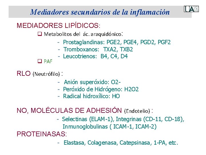 Mediadores secundarios de la inflamación MEDIADORES LIPÍDICOS: q Metabolitos del ác. araquidónico: - Prostaglandinas: