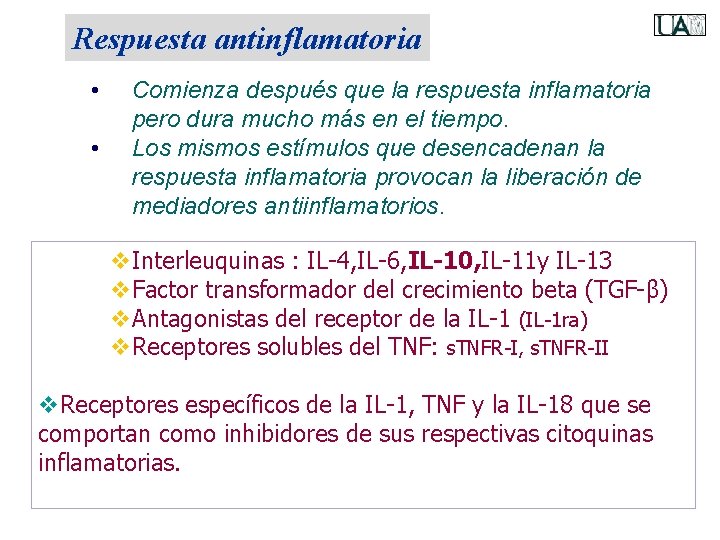 Respuesta antinflamatoria • • Comienza después que la respuesta inflamatoria pero dura mucho más