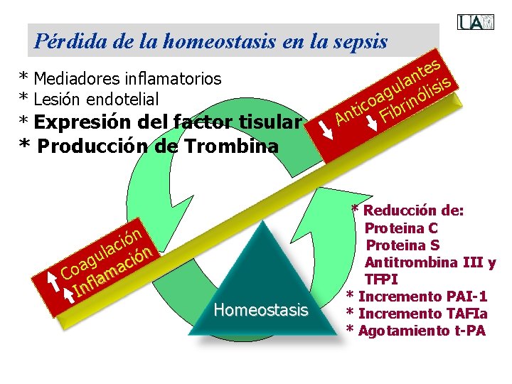 Pérdida de la homeostasis en la sepsis * Mediadores inflamatorios * Lesión endotelial *