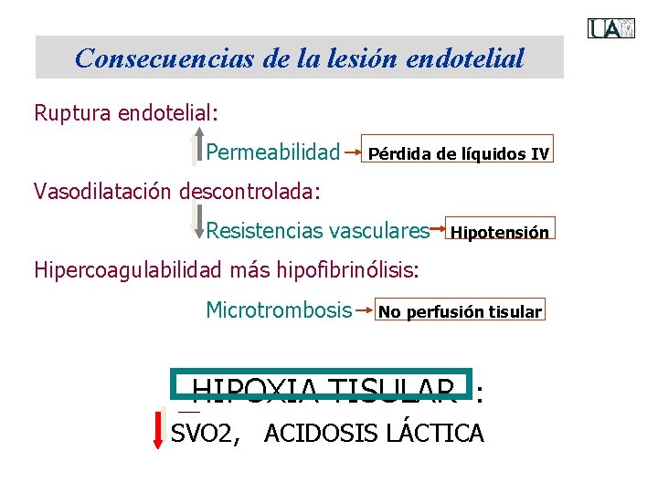 Consecuencias de la lesión endotelial Ruptura endotelial: Permeabilidad Pérdida de líquidos IV Vasodilatación descontrolada: