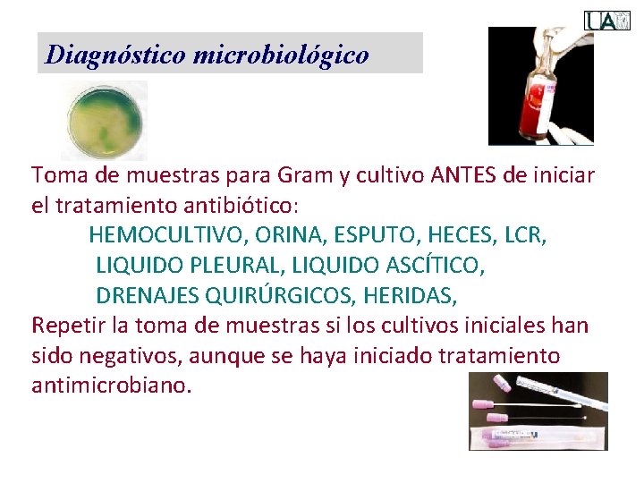Diagnóstico microbiológico Toma de muestras para Gram y cultivo ANTES de iniciar el tratamiento