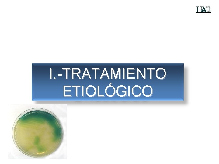 I. -TRATAMIENTO ETIOLÓGICO 