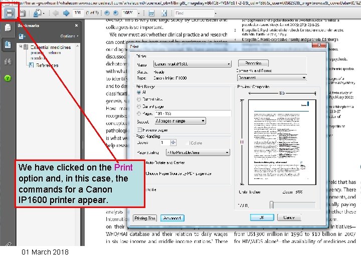 We have clicked on the Print option and, in this case, the commands for