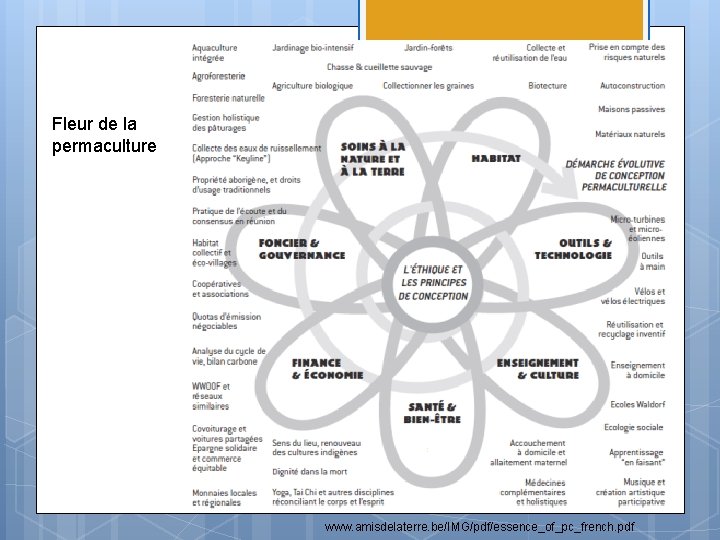 Fleur de la permaculture www. amisdelaterre. be/IMG/pdf/essence_of_pc_french. pdf 