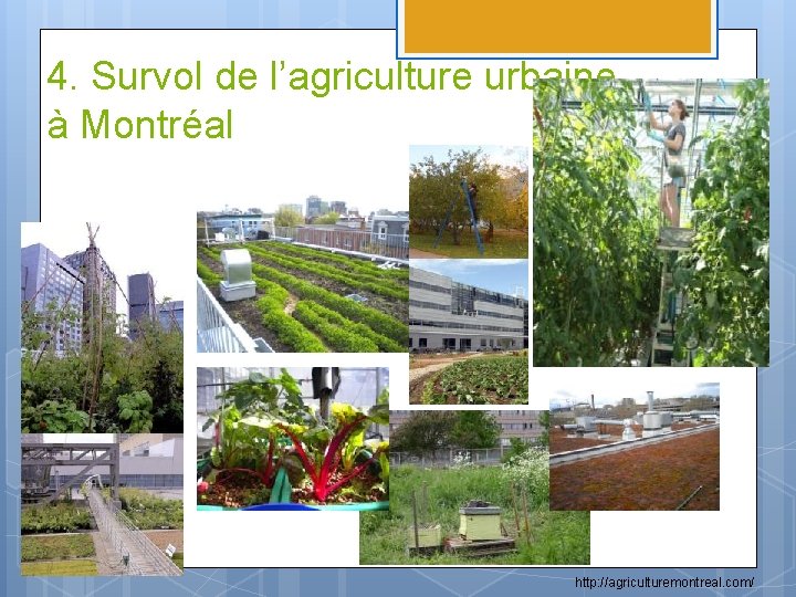 4. Survol de l’agriculture urbaine à Montréal http: //agriculturemontreal. com/ 