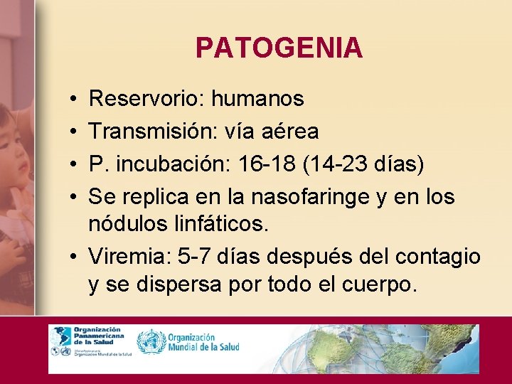 PATOGENIA • • Reservorio: humanos Transmisión: vía aérea P. incubación: 16 -18 (14 -23