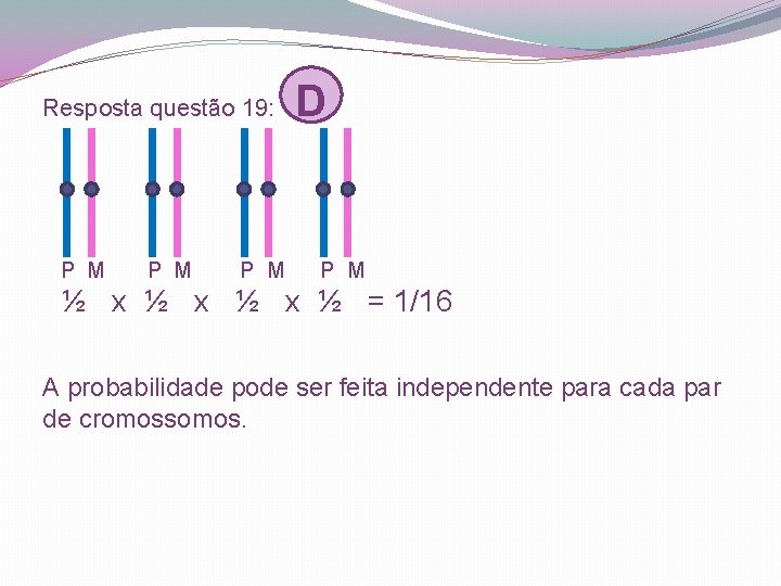 Resposta questão 19: D P M ½ x ½ = 1/16 A probabilidade pode