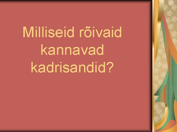 Milliseid rõivaid kannavad kadrisandid? 