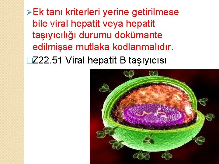 Ø Ek tanı kriterleri yerine getirilmese bile viral hepatit veya hepatit taşıyıcılığı durumu dokümante