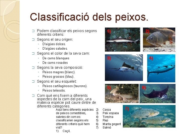 Classificació dels peixos. Podem classificar els peixos segons diferents criteris: � Segons el seu Classificació dels peixos. Podem classificar els peixos segons diferents criteris: � Segons el seu
