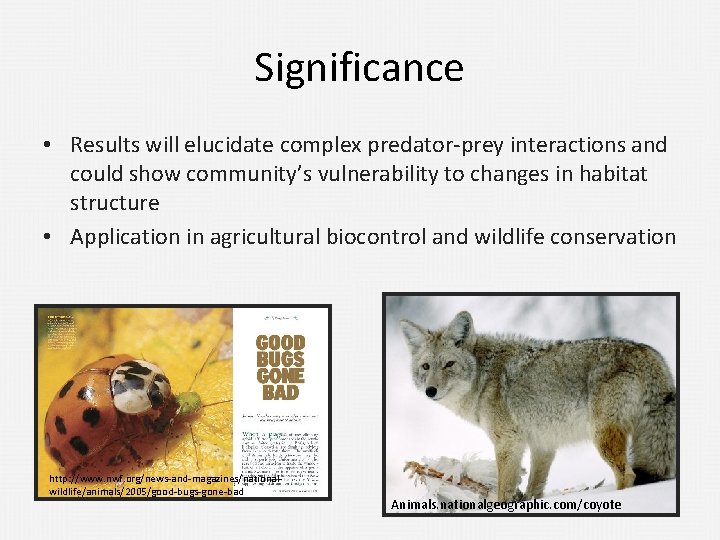 Significance • Results will elucidate complex predator-prey interactions and could show community’s vulnerability to