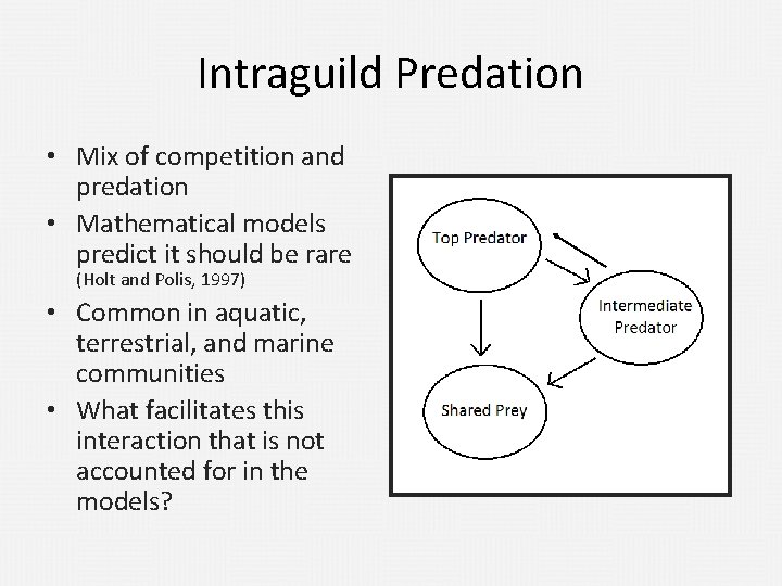 Intraguild Predation • Mix of competition and predation • Mathematical models predict it should