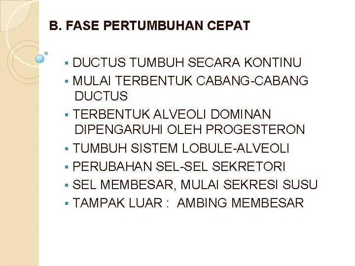 B. FASE PERTUMBUHAN CEPAT § DUCTUS TUMBUH SECARA KONTINU § MULAI TERBENTUK CABANG-CABANG DUCTUS