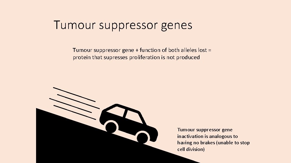 Tumour suppressor genes Tumour suppressor gene + function of both alleles lost = protein