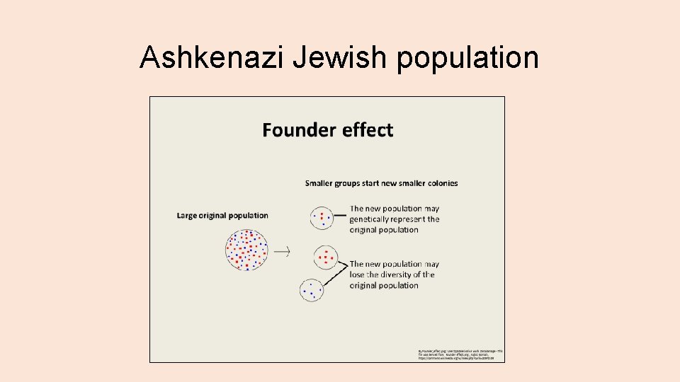 Ashkenazi Jewish population 
