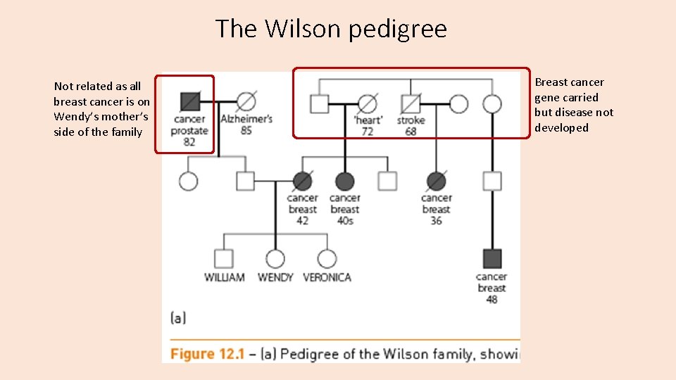 The Wilson pedigree Not related as all breast cancer is on Wendy’s mother’s side