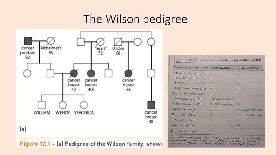 The Wilson pedigree 