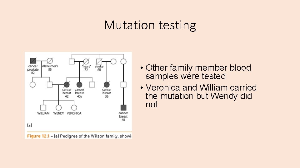 Mutation testing • Other family member blood samples were tested • Veronica and William