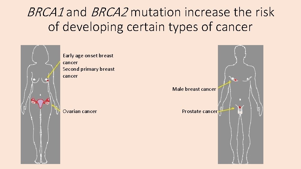 BRCA 1 and BRCA 2 mutation increase the risk of developing certain types of