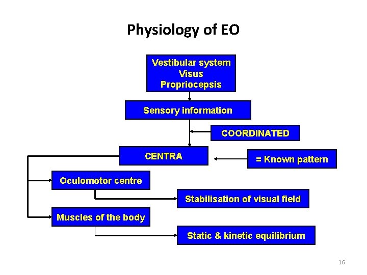 Physiology of EO Vestibular system Visus Propriocepsis Sensory information COORDINATED CENTRA = Known pattern