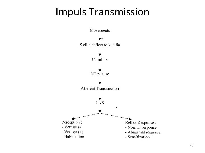 Impuls Transmission 26 