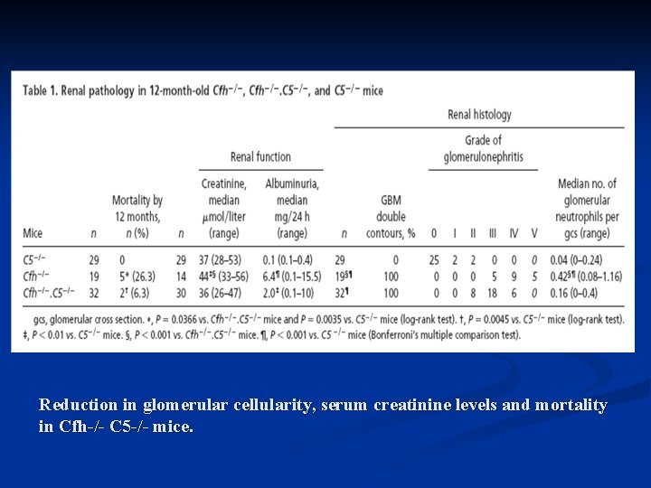 Reduction in glomerular cellularity, serum creatinine levels and mortality in Cfh-/- C 5 -/-