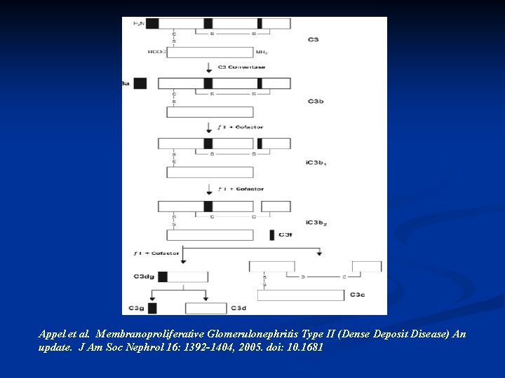 Appel et al. Membranoproliferative Glomerulonephritis Type II (Dense Deposit Disease) An update. J Am