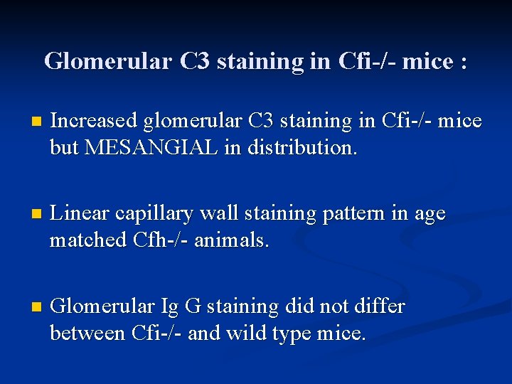 Glomerular C 3 staining in Cfi-/- mice : n Increased glomerular C 3 staining