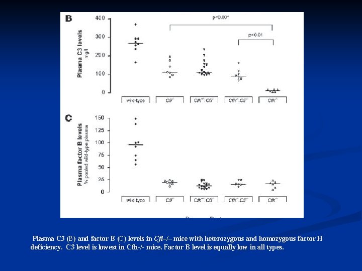 Plasma C 3 (B) and factor B (C) levels in Cfi–/– mice with heterozygous