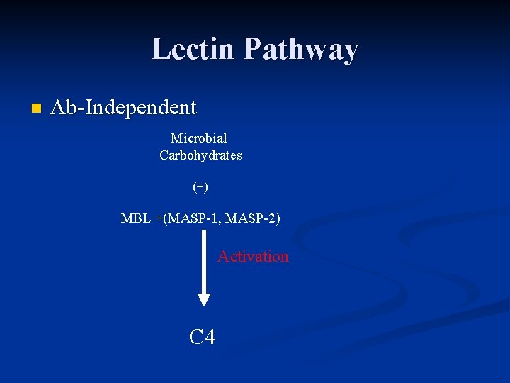 Lectin Pathway n Ab-Independent Microbial Carbohydrates (+) MBL +(MASP-1, MASP-2) Activation C 4 