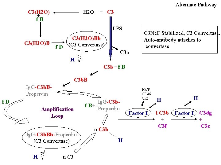 Alternate Pathway C 3(H 2 O) + f. B H 2 O + C