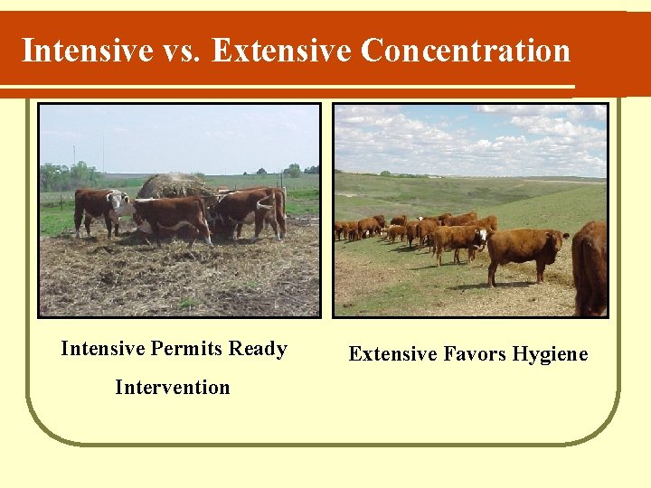 Intensive vs. Extensive Concentration Intensive Permits Ready Intervention Extensive Favors Hygiene 