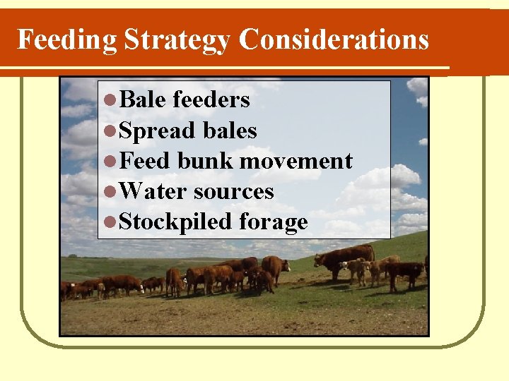 Feeding Strategy Considerations l. Bale feeders l. Spread bales l. Feed bunk movement l.