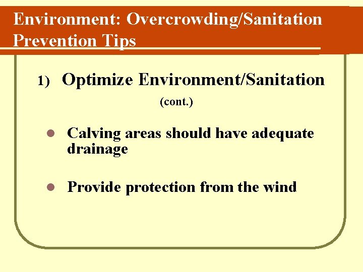 Environment: Overcrowding/Sanitation Prevention Tips 1) Optimize Environment/Sanitation (cont. ) l Calving areas should have