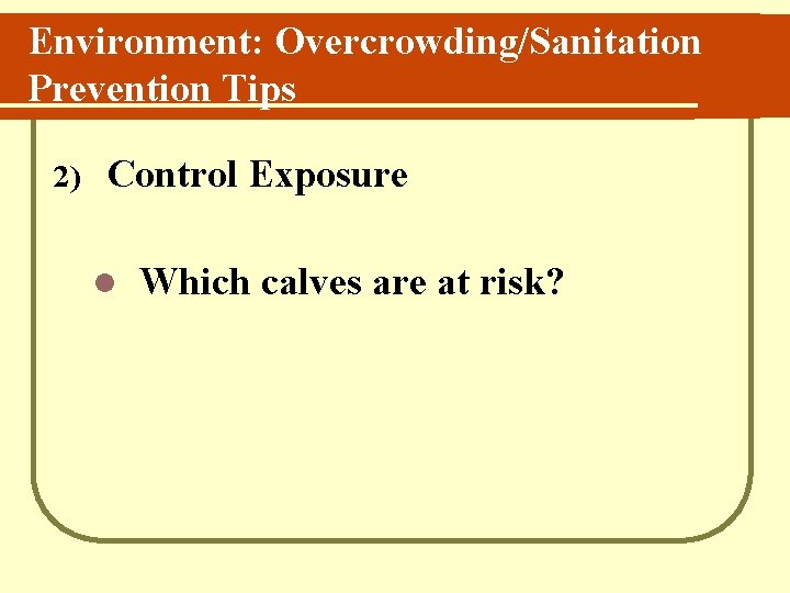Environment: Overcrowding/Sanitation Prevention Tips 2) Control Exposure l Which calves are at risk? 
