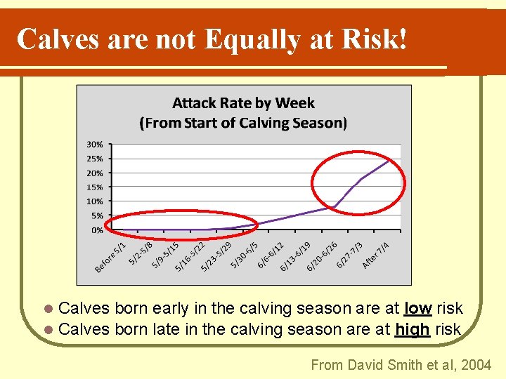 Calves are not Equally at Risk! Calves born early in the calving season are