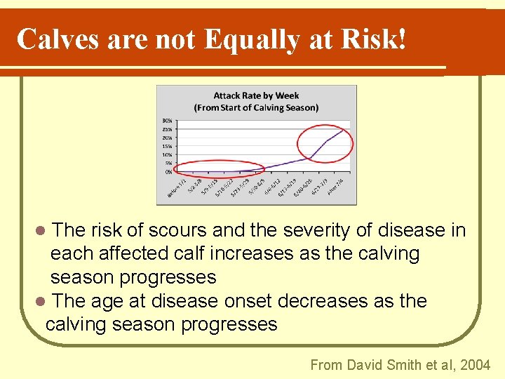 Calves are not Equally at Risk! The risk of scours and the severity of